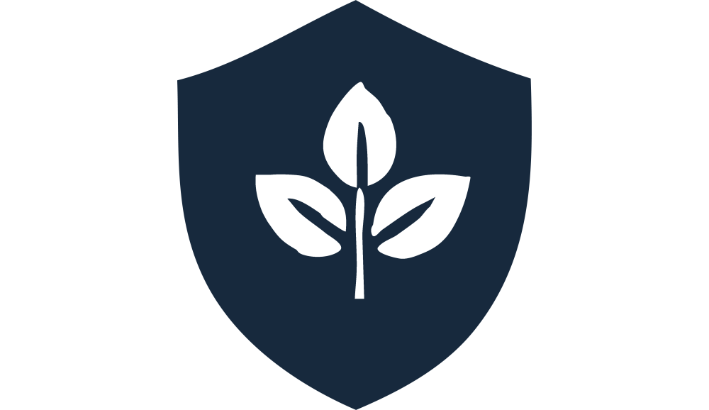 Mint Secure